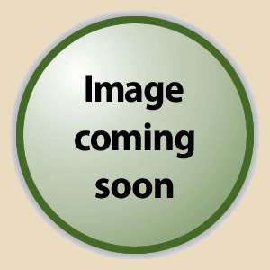 Image Coming Soon!